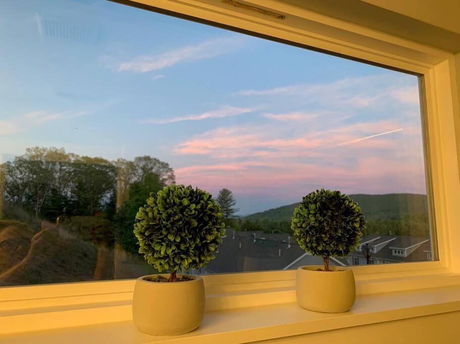 Newly Built Townhome Close To The Asheville Sites Candler Exterior foto